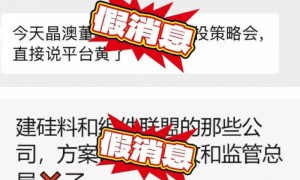 硅料“收储”黄了？中国光伏行业协会紧急辟谣｜快讯