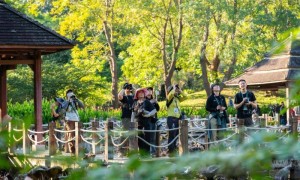 观鸟，不只是观鸟：云南绿水青山间的“新翅膀”