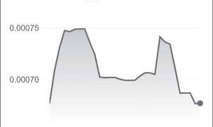 “百亿补贴”砸下后阿根廷比索再创新低,美国银行:没有担保,不敢贷啊