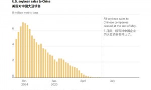 美国豆农急寻其他市场,但发现加起来都不够中国的零头…