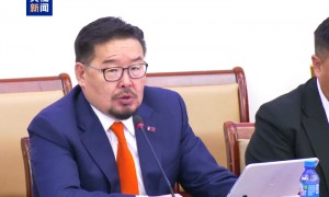 蒙古国宪法法院裁定议会解除总理职务决定违宪