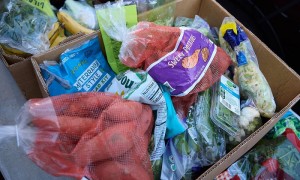 美国多州警告:政府停摆可能导致饥饿问题恶化