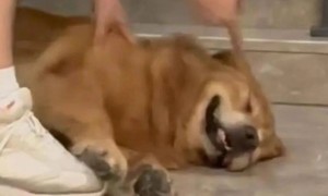 为了吸引你买手机,厂商们已经开始在参数页上动起手脚了